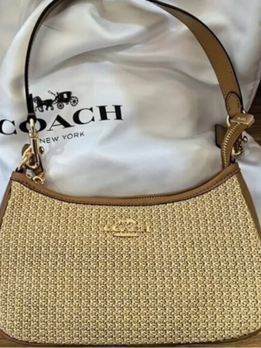 Coach teri shoulder bag straw bag